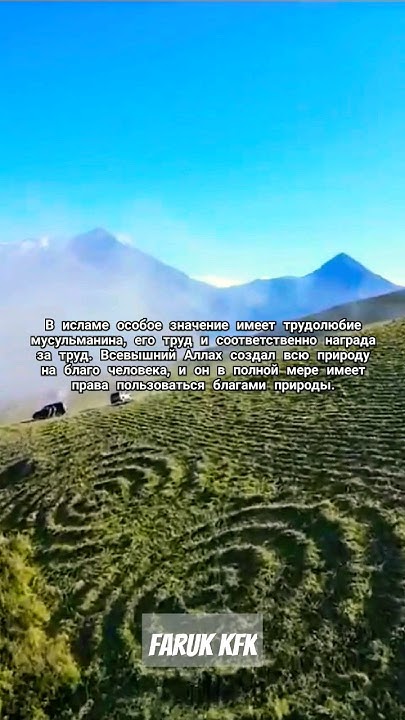 Благодатный дождь дает жизнь растениям, дает вам пищу. #куруш #дагестан ...