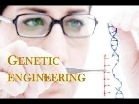 जेनेटिक इंजीनियरिंग || genetic engineering