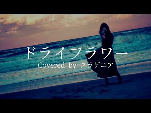 ドライフラワー / Covered by クラゲニア【歌ってみた】