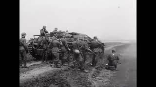 Stug Iii Ausf. Bcd En Acción. Operación Barbarroja.