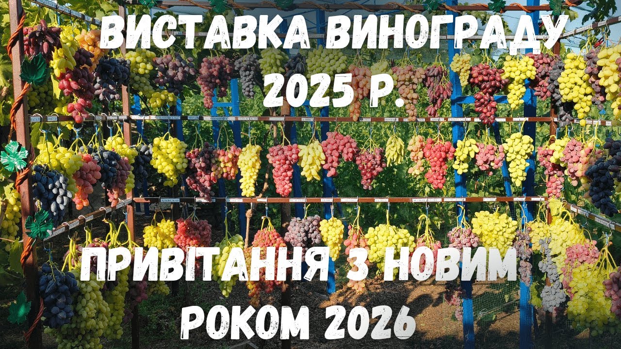 Новорічна виставка 2025р. - 2026р.