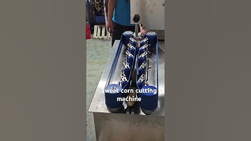 Sweet corn cutting machine manufacturer #automatic #sweetcorn #cuttingmachine