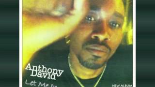 Video thumbnail of "Anthony David - Let me in (Tino Harlem rmx)"