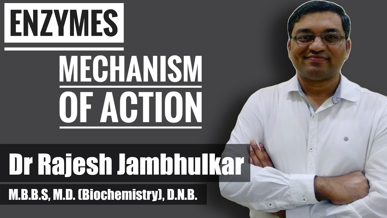 6. Enzyme - Mechanism of Enzyme Action