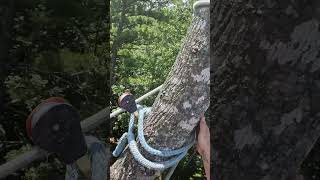 Famous Negative Rigging Big Poplar Top Net Worth