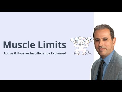 القصور الإيجابي والسلبي في العضلات الهيكلية شرح الميكانيكا الحيوية مع أمثلة 62