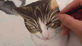 getigerte Katze in Aquarell | watercolor tabby cat