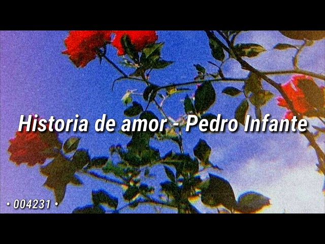 Historia de un amor - Pedro Infante (letra) class=