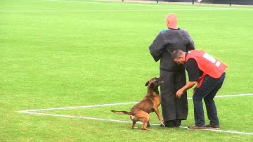 J F P G  Delissen met Jagger PH2 schijn