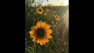 Ishq Lyrics | Sarmad Qadeer | StayTUNED