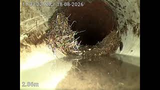 Blockage King 1-5 Landale St toorak Left stormwater 18 08 2026 09 04 34 2026 08 18 11 29 38