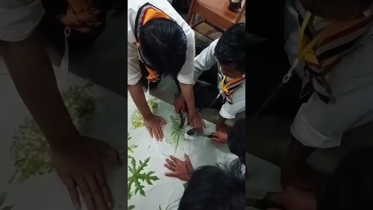 Mini Vlog Pembuatan Ecoprint Regu Kambing "KMD TKK MPK KA.Palembng" 2026.