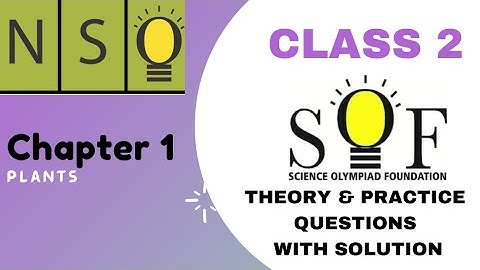CLASS 2 NSO CHAPTER 1 PLANTS | class 2 olympiad | olympiad for class 2