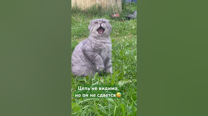 Кот-охотник,ловкость и грация,но это не про нас 😂🐱🐾#рек #cat #котики #юмор #shorts #кот #охотник