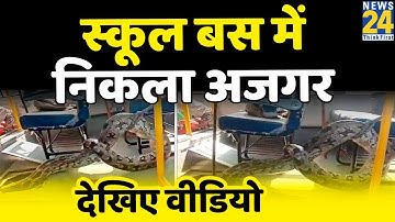 Raebareli में School Bus में निकला Python, काफी मशक्कत के बाद किया गया रेस्क्यू
