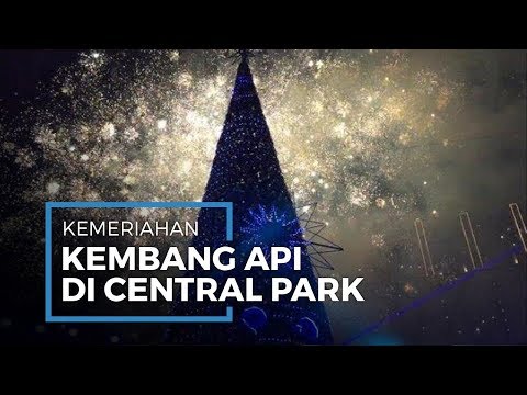 Pertunjukan Kembang Api, Warnai Sukacita Malam Natal di Central Park