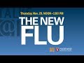 The New Flu