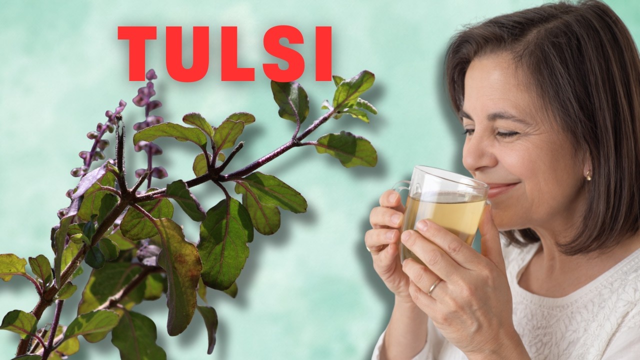 Indisches Basilikum: Tulsi Tee gegen Angst, Stress und Vergesslichkeit