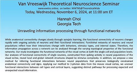 Unraveling information processing through functional networks | Hannah Choi, Georgia Tech