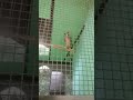 Parque Zoológico La Guaricha 🧭🐾