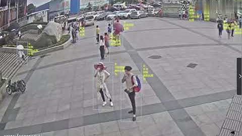 12 Video Structuralization 2