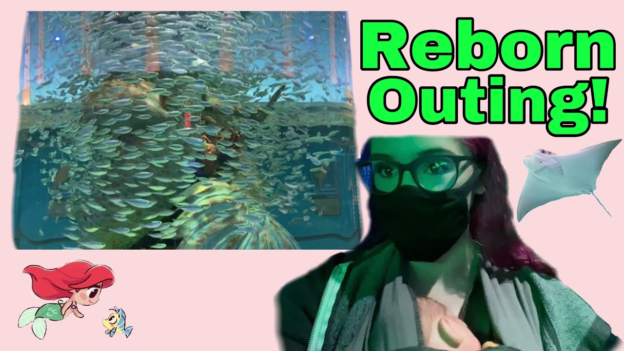 REBORN outing to an AQUARIUM! ROAD TRIP with a REBORN  (Negative/Embarrassing Reaction)