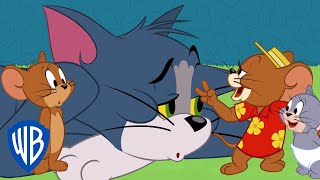 Tom \& Jerry | Say Uncle Harry! | WB Kids