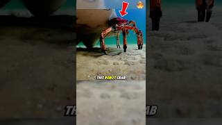 The Moment Real Crabs Saved A Robot
