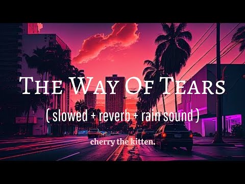 The Way Of Tears ( slowed + reverb + rain sound ) #relaxingnasheed [ Cherry the kitten. ]