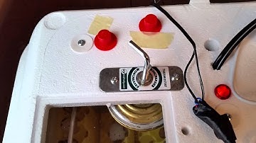 How to Incubate Quail Eggs - The Quest for Quail Episode 1