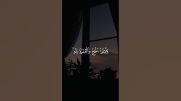 وَأَتِمُّوا الْحَجَّ وَالْعُمْرَةَ لِلَّهِ ۚ || سورة البقرة #علاء_عقل 🤍🌱