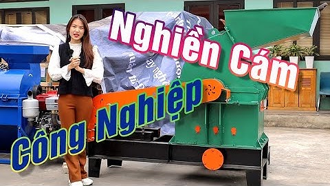 Máy Nghiền Bột Cám B50 Bình Quân Group, Máy Xay Bột Khô Công Nghiệp