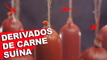 Em que as indústrias transformam a gordura?