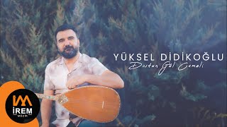 Yüksel  Didikoğlu - Dostun Gül Cemali Resimi