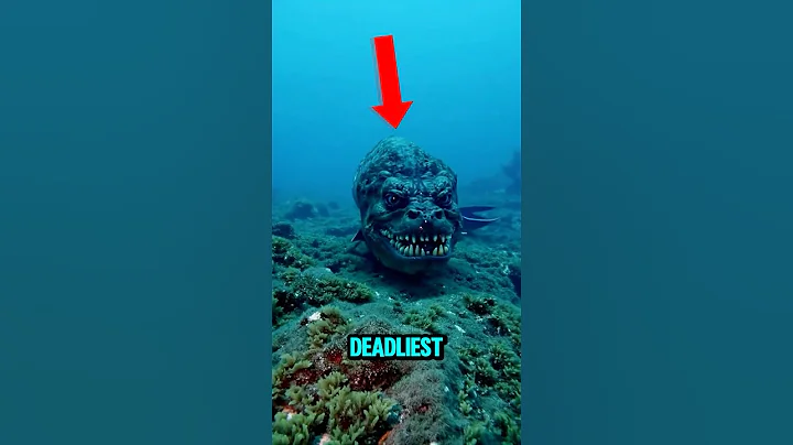TOP 5 MOST DEADLIEST SEA CREATURES THAT COULD DESTROY OUR WORLD! 😨😱