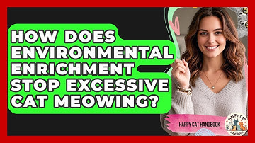 How Does Environmental Enrichment Stop Excessive Cat Meowing? - Happy Cat Handbook