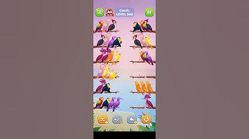 #bird #sort #level 340