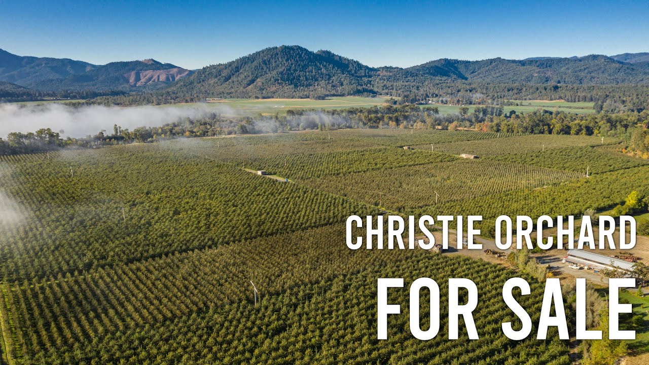 Rogue River Irrigated Farm For Sale | Christie Orchard | SOLD by Martin Outdoor Property Group
