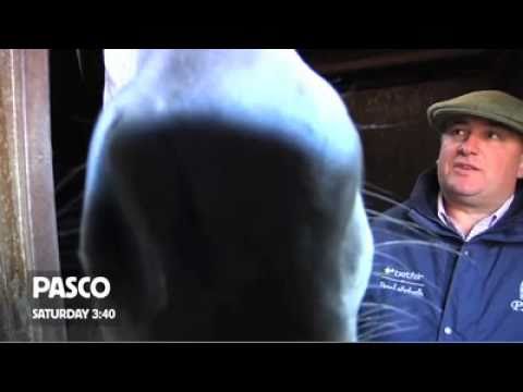 Paul Nicholls - Newbury Hennessy Meeting 2010 Prev...