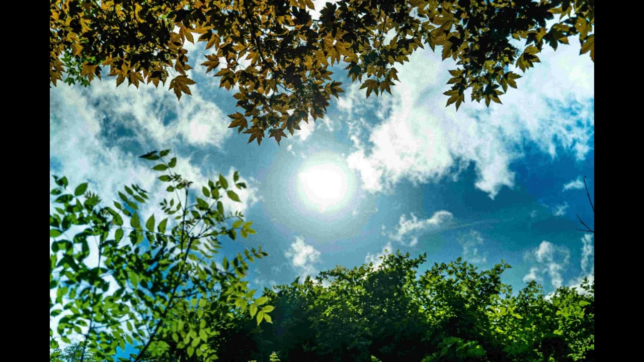 A Gentle Sunlight _ James Quinn