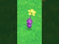 Check out these Pikmin mid-run! 🌱✨
