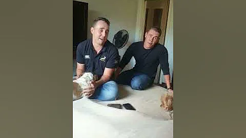 bokke
