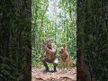 K9 Dog & Indian Army Jawan Helicopter Jump 🪖🐕 | Extreme Rescue Mission #shorts#trending