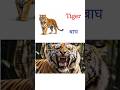 Animals Name English Hindi | Lion Tiger Elephant Giraffe | Kids Learning | #kidslearning | USA UK