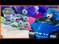 Aqua Pups Save a Sea Turtle | PAW Patrol | Toy Play for Kids