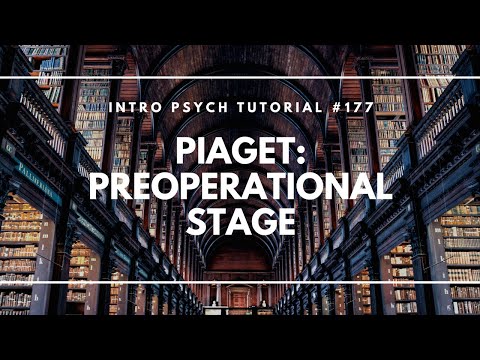 Cognitive Development: Preoperational Stage (Intro Psych Tutorial #177)