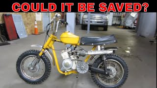 Scrap Picked 50 year old Abandoned Rupp Mini Bike.