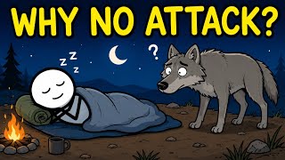 Why Don’t Predators Attack Sleeping Humans?