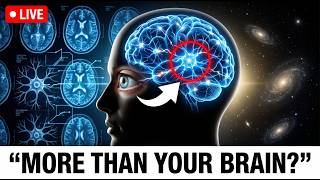 The Hard Problem of Consciousness: Are You More Than Your Brain