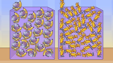 Merge Fellas Summon Giraffa Banani Vs Hipopotomo Banation